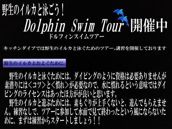 東京　イルカ　ドルフィン　講習なら　足立区　北千住　キッチンダイブ　説明1