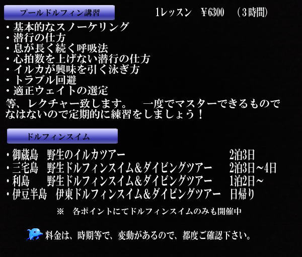 東京　イルカ　ドルフィン　講習なら　足立区　北千住　キッチンダイブ　説明2