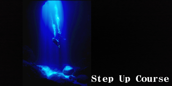 ステップアップコース